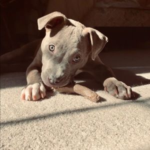 Meet your Posher, Autumn